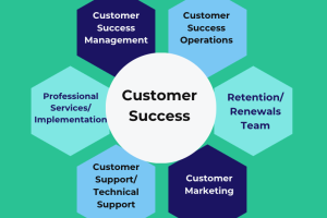The Many Faces of Customer Success